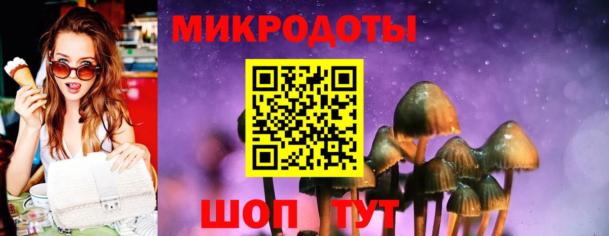 Псилоцибиновые грибы Psilocybine cubensis  купить наркоту  Черногорск  Вход с VPN 